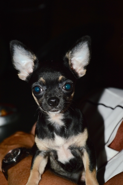 DSC_0054