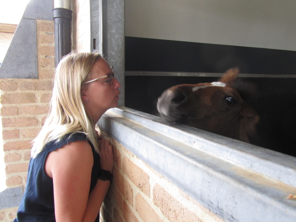 Paardenkliniek EQUITOM 2019 (13)