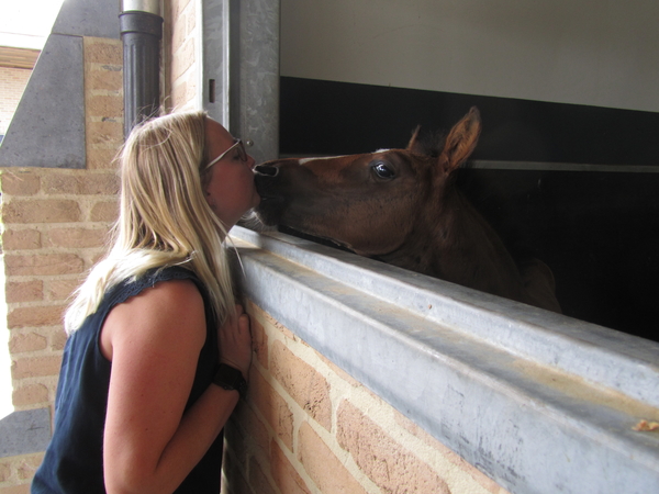 Paardenkliniek EQUITOM 2019 (14)