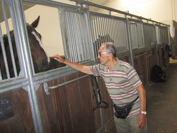 Paardenkliniek EQUITOM 2019 (21)