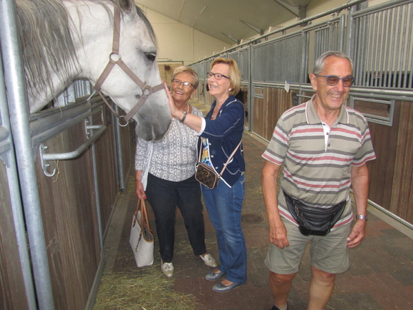 Paardenkliniek EQUITOM 2019 (27)