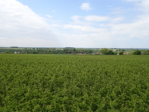 Fotos St Truiden Stephan Put (7)