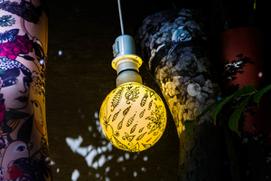 licht