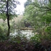 DSCN3688