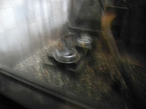 DSCN1198