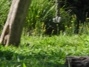 DSCN1200