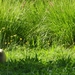 DSCN1204