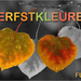 Furka project 53.1