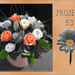 Sien1 project 53.2