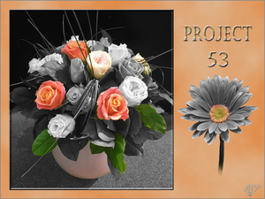 Sien1 project 53.2