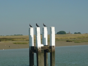 cm nieuwpoort 2016-09-05 078