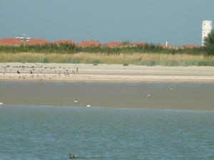 cm nieuwpoort 2016-09-05 079