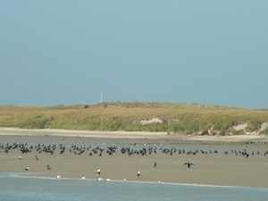 cm nieuwpoort 2016-09-05 080