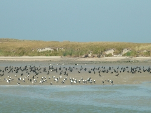 cm nieuwpoort 2016-09-05 081