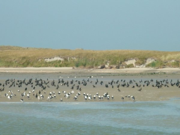 cm nieuwpoort 2016-09-05 081