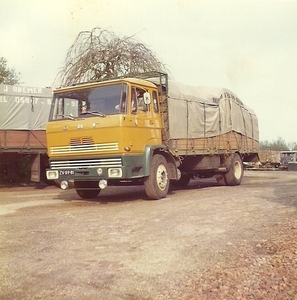 DAF