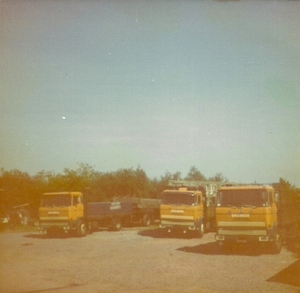 Line Up