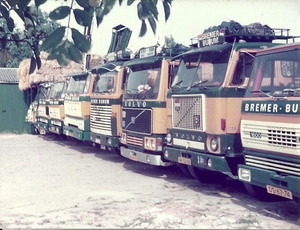 Line Up