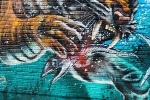 Graffiti 2016 (116 van 141)