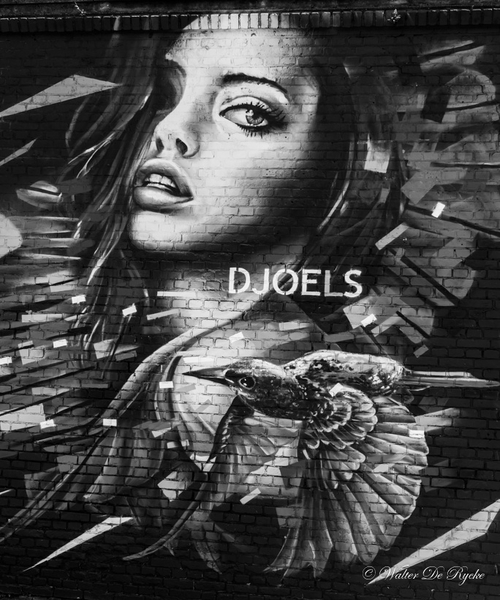 Graffiti 2016 (122 van 141)