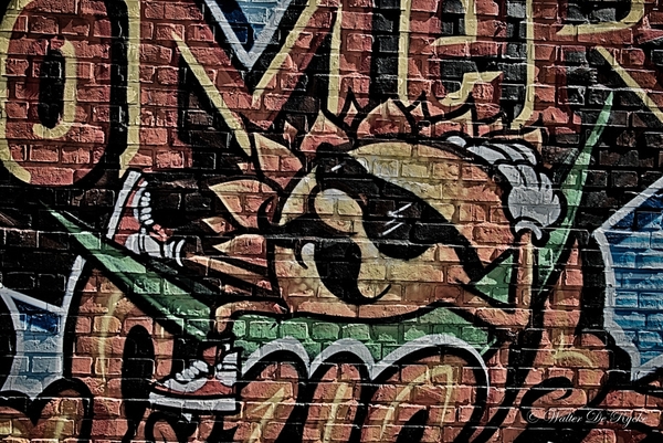 Graffiti 2016 (1 van 141)
