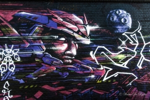 Graffiti 2016 (22 van 141)