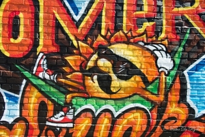 Graffiti 2016 (2 van 141)