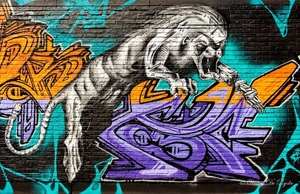 Graffiti 2016 (40 van 141)