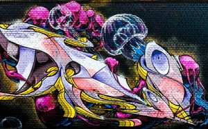 Graffiti 2016 (48 van 141)