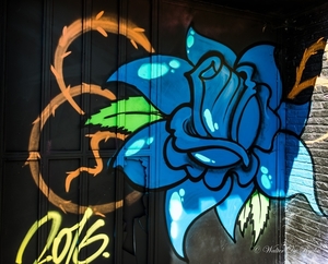 Graffiti 2016 (4 van 141)