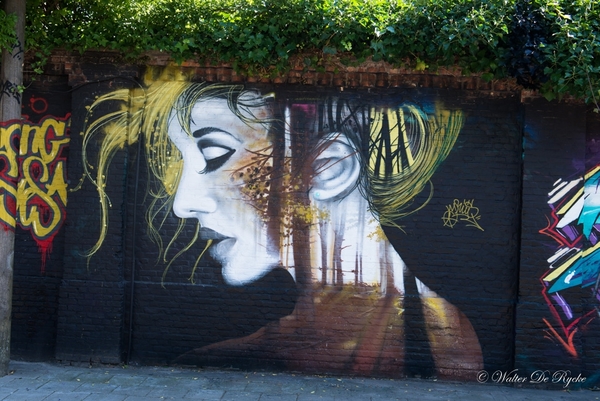 Graffiti 2016 (85 van 141)