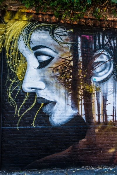 Graffiti 2016 (86 van 141)