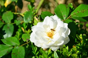 046