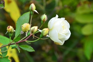 019