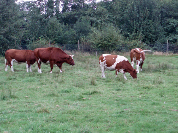 Domein van Vordenstein.