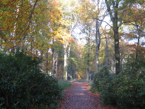 herfst in vordenstein