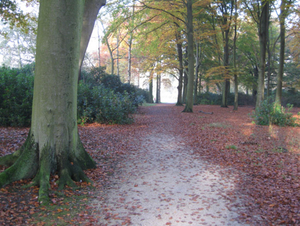 Herfst in Vordenstein