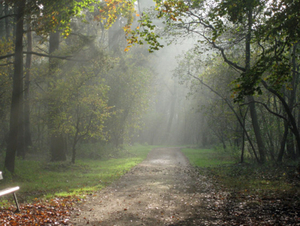 Herfst in Vordenstein.