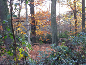 Herfst in Vordenstein.