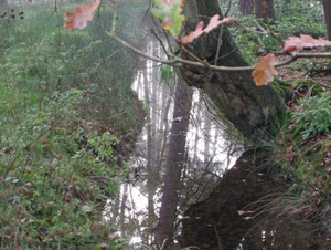 Herfst in Vordenstein.