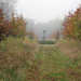 Herfst in Vordenstein.