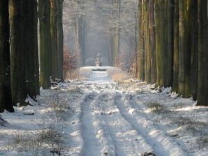 Vorderstein in de sneeuw.