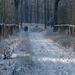 Vordenstein in de sneeuw.