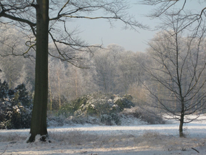 Vordenstein in de sneeuw.