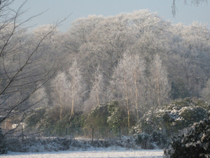 Vordenstein in de sneeuw.