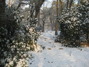 Vordenstein in de sneeuw.