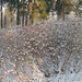 Vordenstein in de sneeuw.