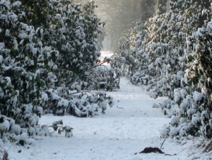 Vordenstein in de sneeuw.