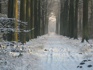 Vordenstein in de sneeuw.