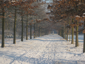 Vordenstein in de sneeuw